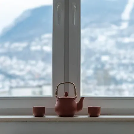 Daire Oz - Amazing View - 5 Min. From Center Saraybosna